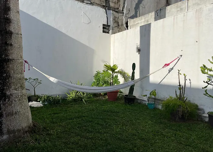 Casa Toadfish Hébergement de vacances Cozumel